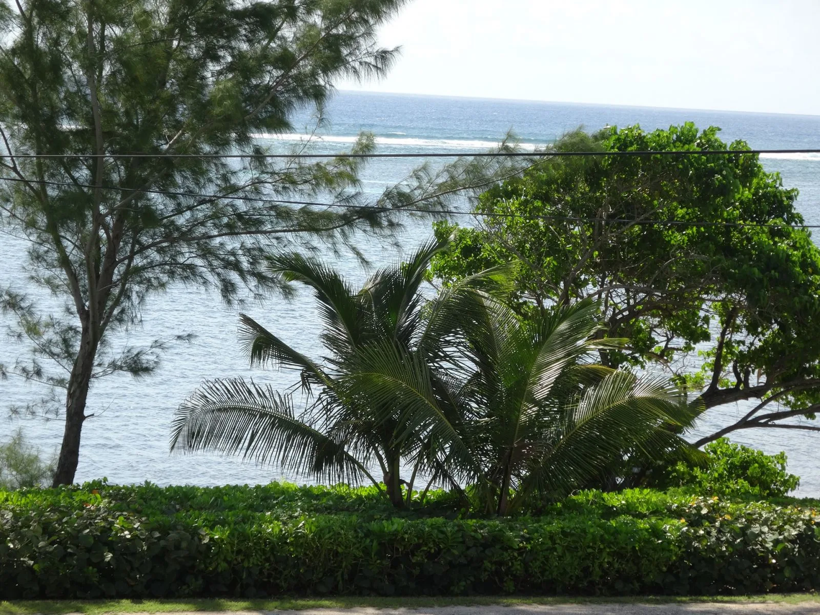 Caribbean Sea and palm trees viewed from Sunset Paradise in Bodden Town